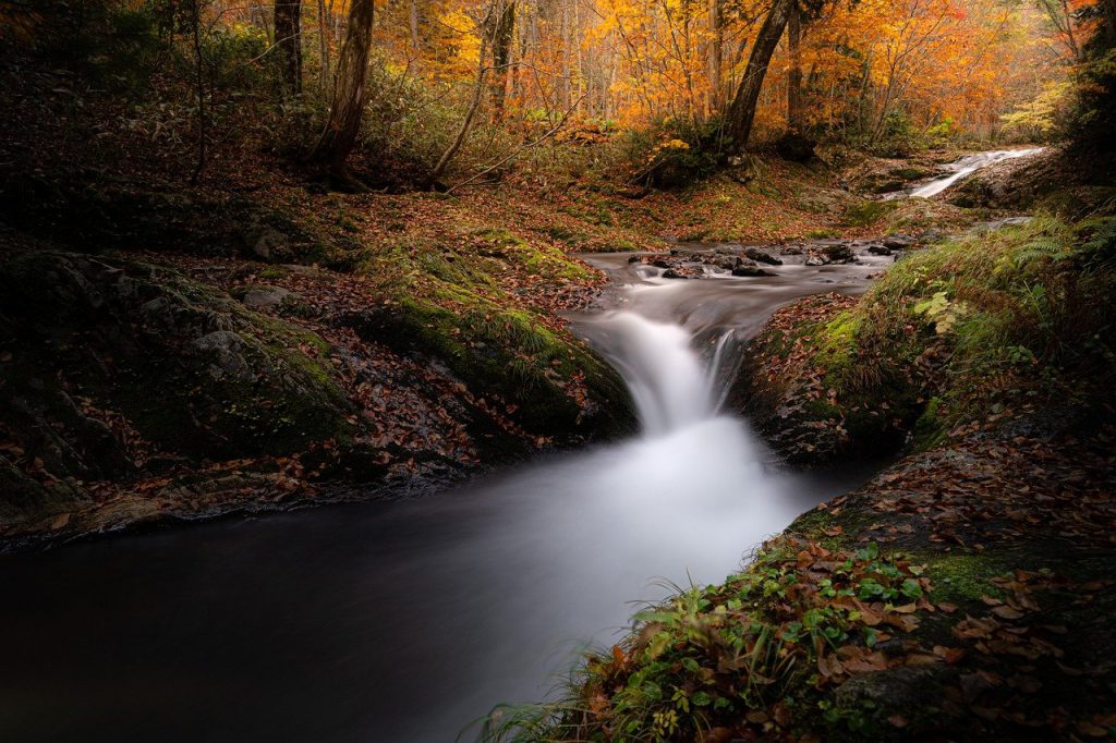 waterfall, river, nature-8350178.jpg